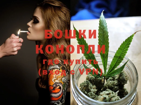 прущие грибы Каменка
