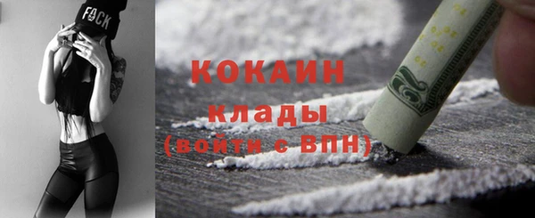 прущие грибы Каменка