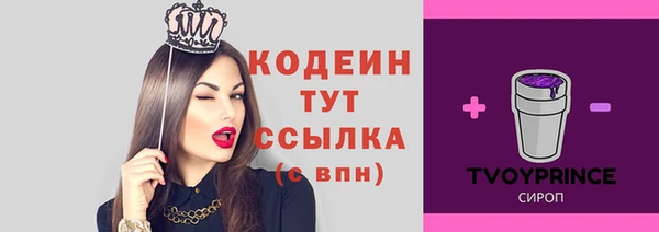 прущие грибы Каменка