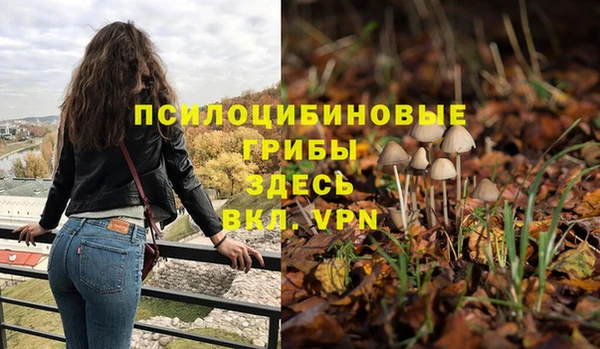 мескалин Карталы