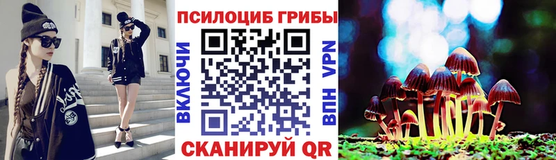 Купить закладки  Камень-на-Оби  Галлюциногенные грибы прущие грибы 