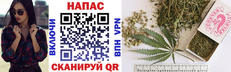Купить где  Камень-на-Оби  Конопля Ganja 